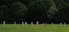 Cricket in front of Bridford Wood