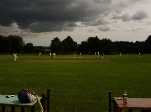 Olga's arty shot of cricket at Killerton House