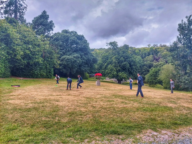Wedding Cricket