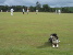 Fraser bowls, Scooby waits